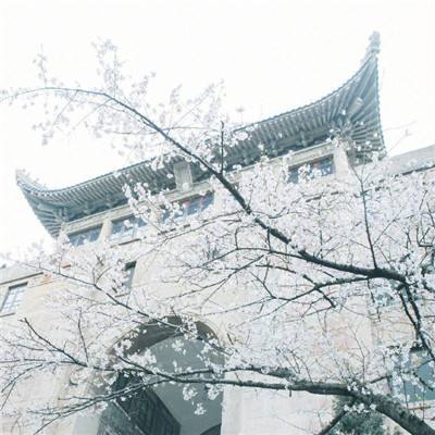 外交部：坚决反对日方有关靖国神社的消极动向