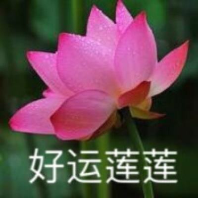吉林四平市委统战部副部长刘同明接受组织调查